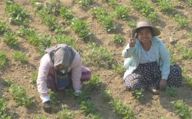 1jRDFP3yTXCNTigGxQLb%w_thumb_39a0