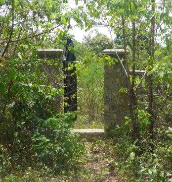 gp9cX%ZcQWi4rR1Ml9T6jQ_thumb_30d1