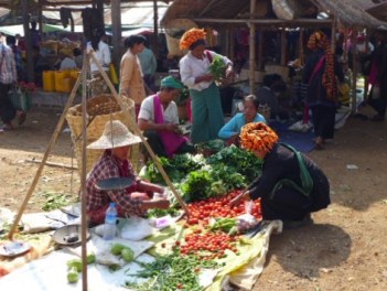 L5coZd7OR5qizppMkfwykQ_thumb_3778