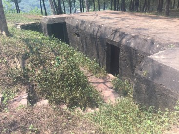 UNADJUSTEDNONRAW_thumb_17cc