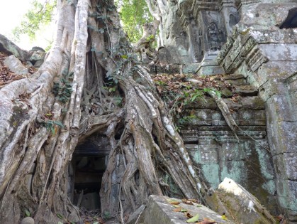 UNADJUSTEDNONRAW_thumb_3257