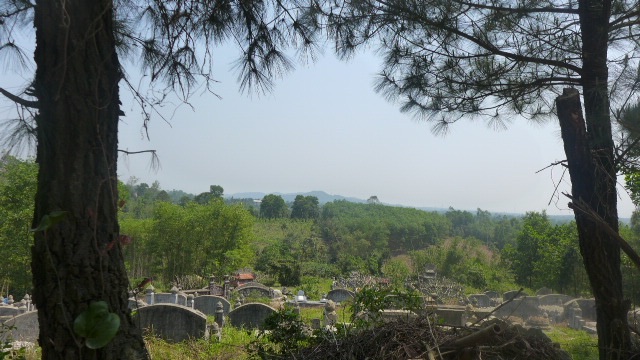 UNADJUSTEDNONRAW_thumb_3449