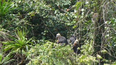 UNADJUSTEDNONRAW_thumb_3579