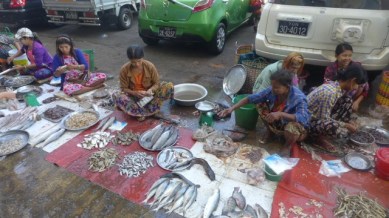 UNADJUSTEDNONRAW_thumb_3ac4