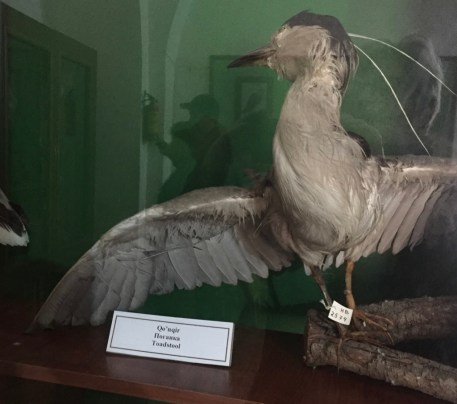 c8SyLtozQ2iWMm+A3dVj+g_thumb_4717