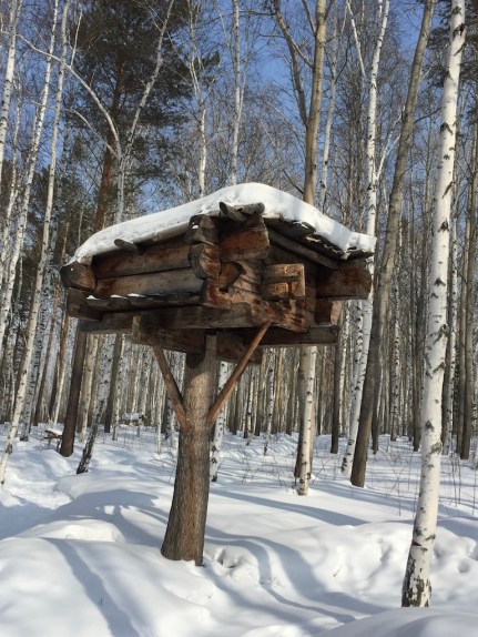 UNADJUSTEDNONRAW_thumb_44a3