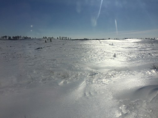 UNADJUSTEDNONRAW_thumb_458b