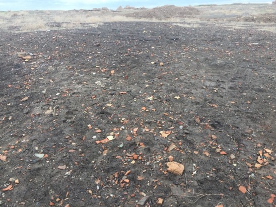 UNADJUSTEDNONRAW_thumb_4646