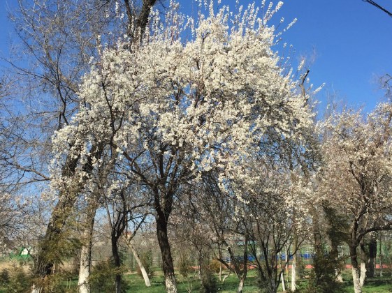 UNADJUSTEDNONRAW_thumb_466b