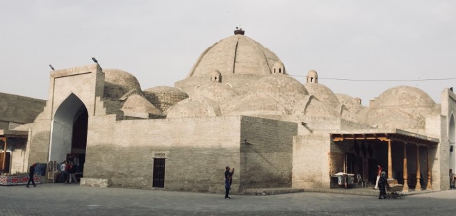 1b3yJc4pRp6Nhcj953vefg_thumb_4972