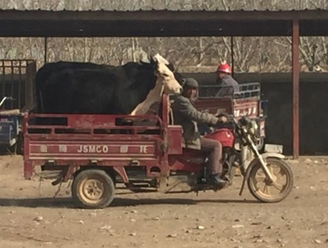 8JHih2xIT9matOo6mLPotQ_thumb_5792