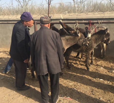 LbKg8MewTY+M1qiOyFGHBg_thumb_57c7