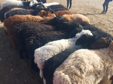 M7klVwUJR3W2uafepwHrTQ_thumb_57e1