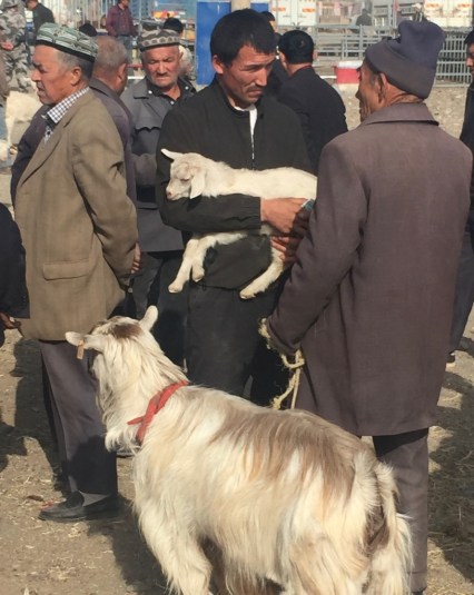 T8yQCO3jTaSNijl+NKOMIQ_thumb_5798