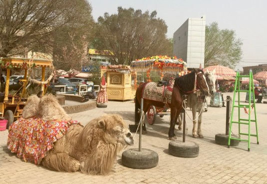 VdH4QJ9ESFCHditgeEnaUQ_thumb_5714