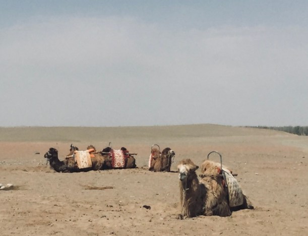 nzBcYoiMSh65sLVyRHFiYg_thumb_5999