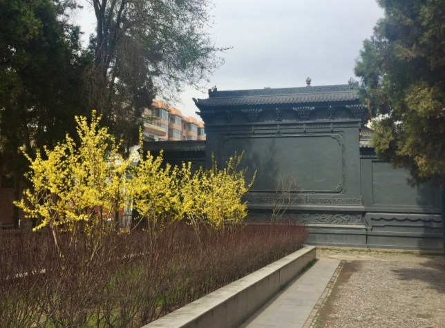 Rz6Ntf%LQMqI0hTrkcBZCQ_thumb_5adc