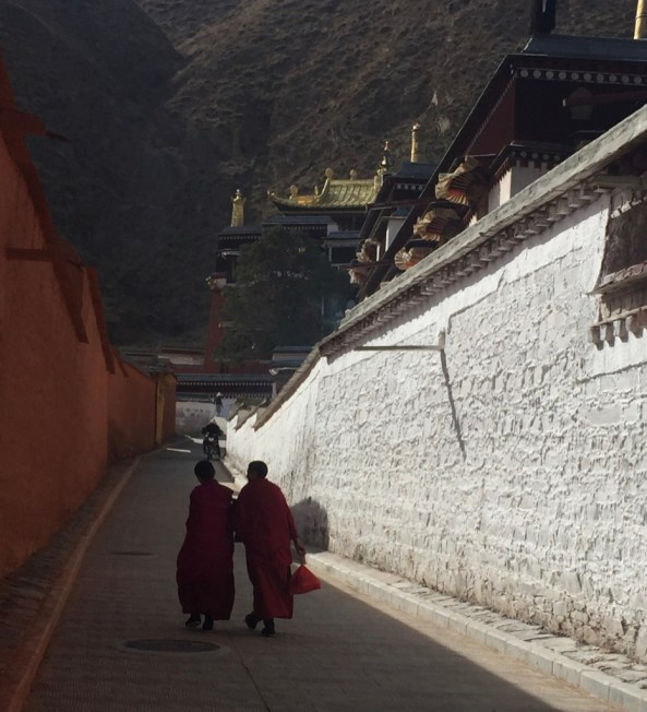 XhtP4FSHRLSVr6G3wKgD9A_thumb_5b1a