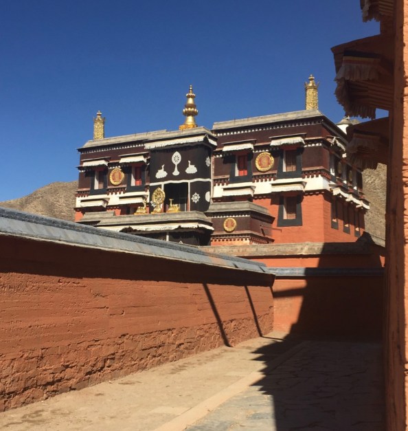 xPi0ocIIS9iSfi7v5yRX2g_thumb_5bfa