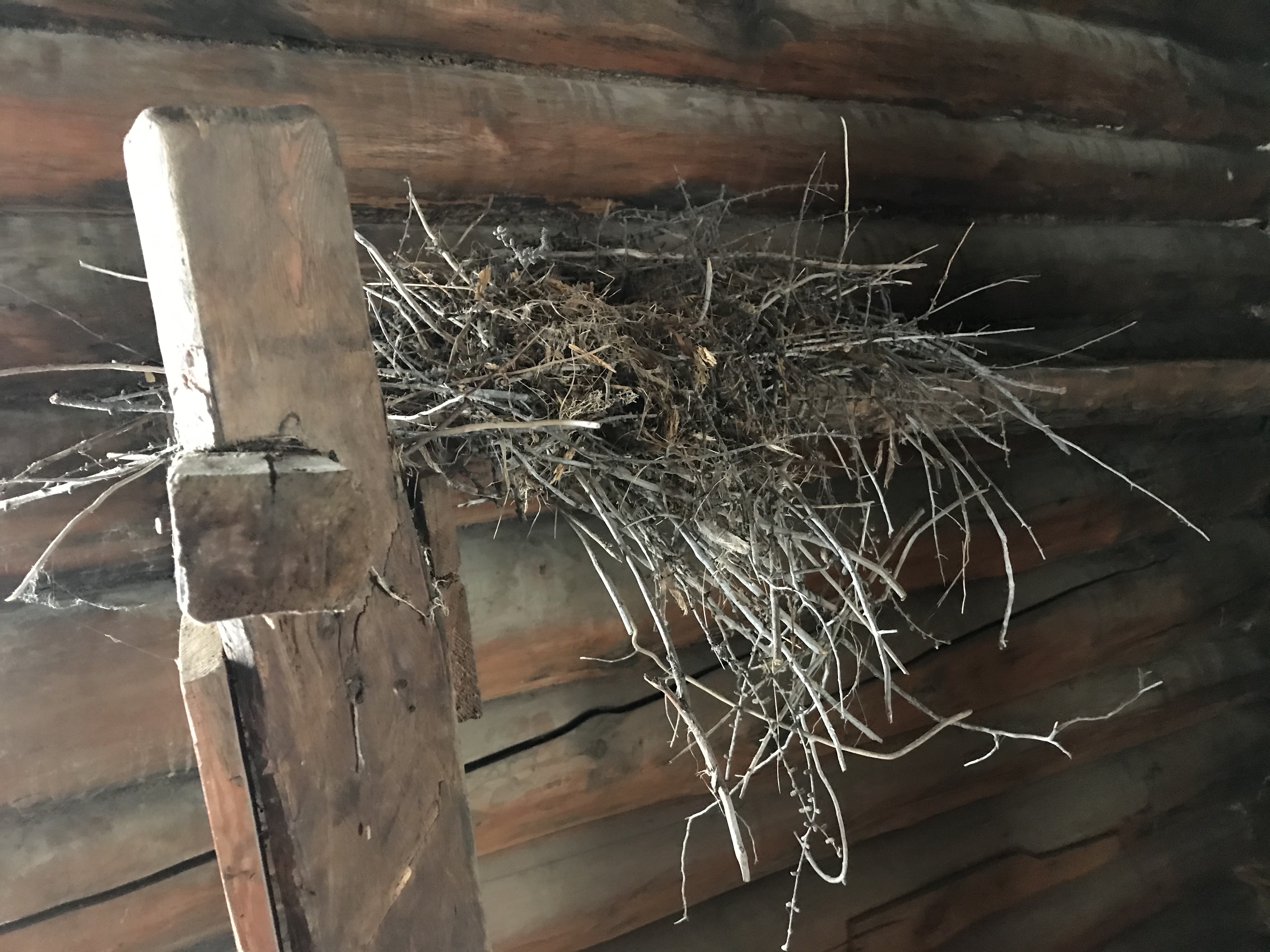 oQPX7itjQAq+de362zeTMw