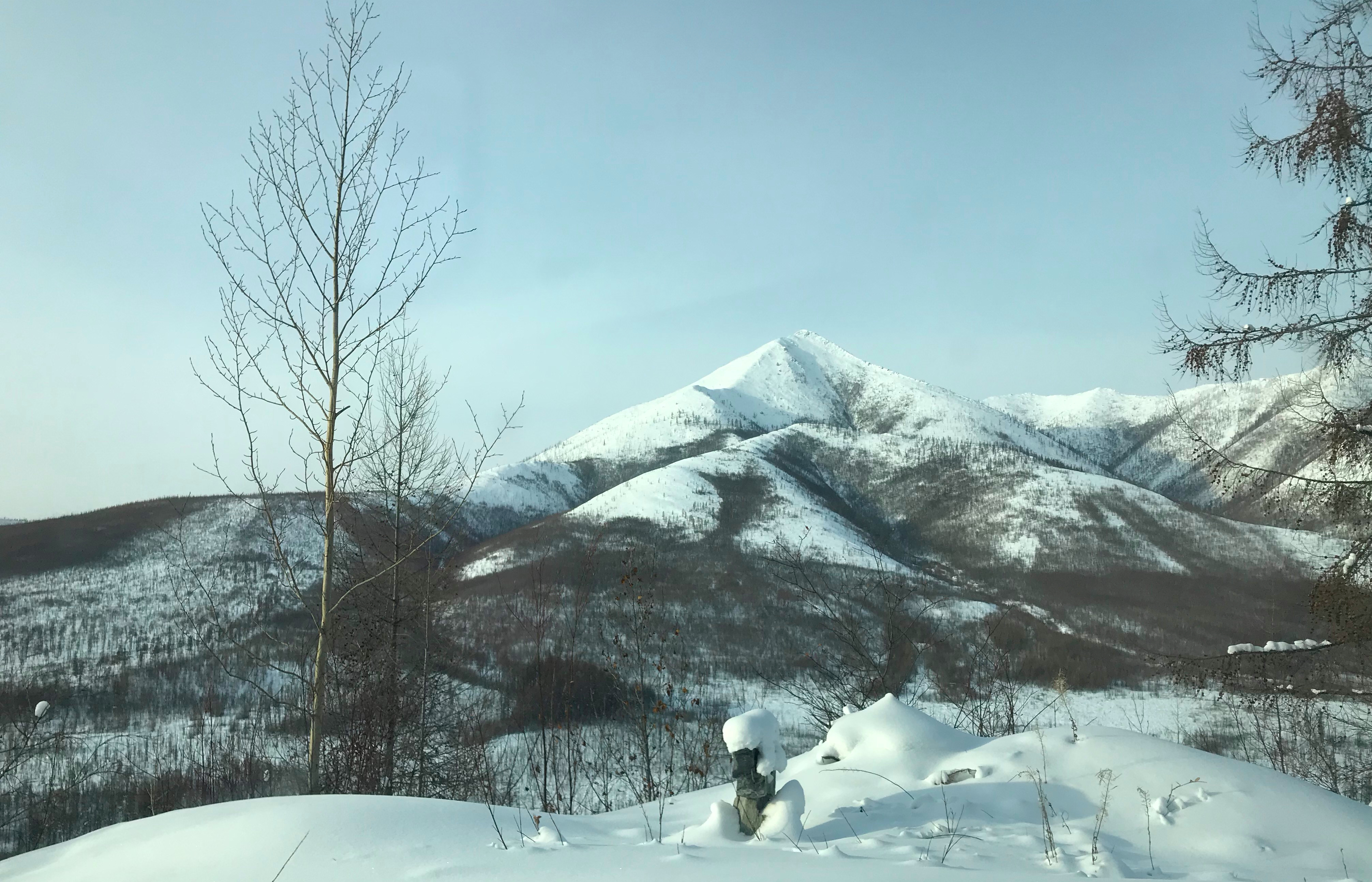 rhs5WWDOScyKCZPLsfl4xw