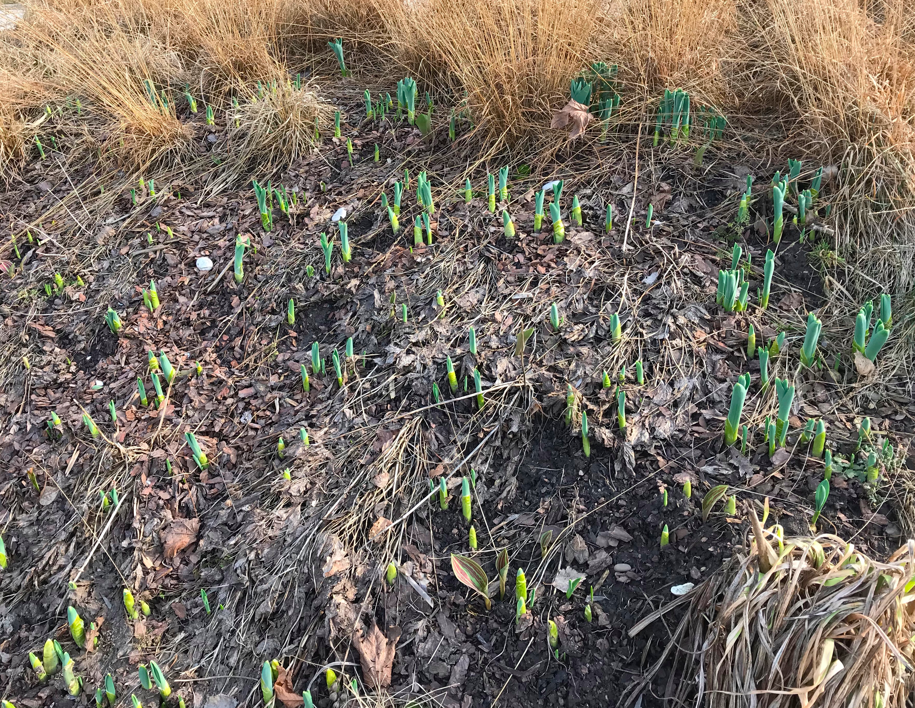 tZWxCLGaRnO9aZqa9kIATA