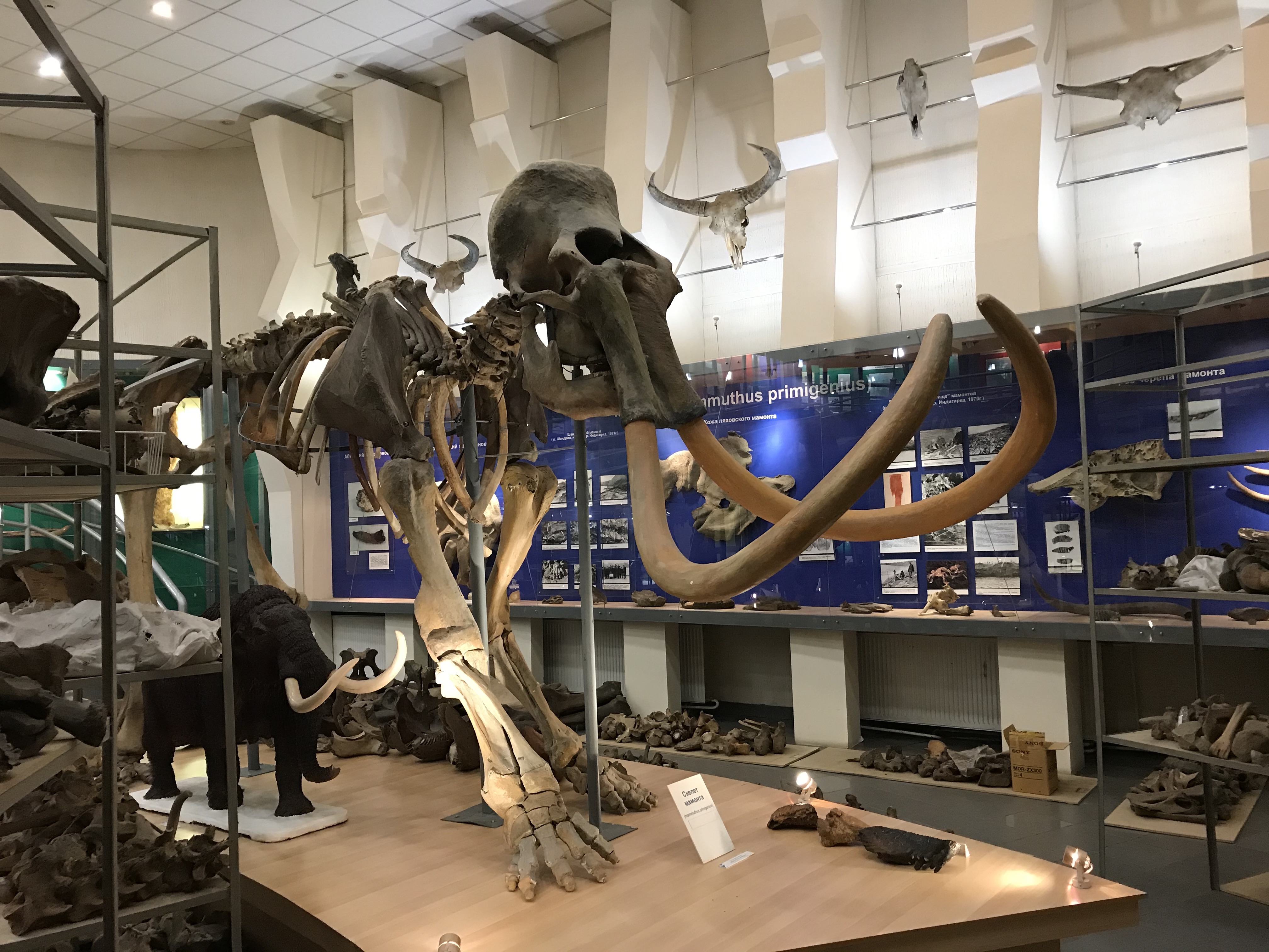 wneFZNIxSDyu2ufHU64CNg