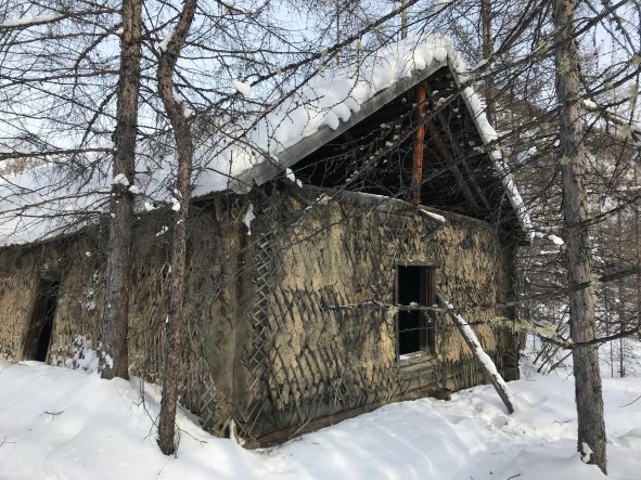 XZQ+9jokTRKJRSgcJVfS6w