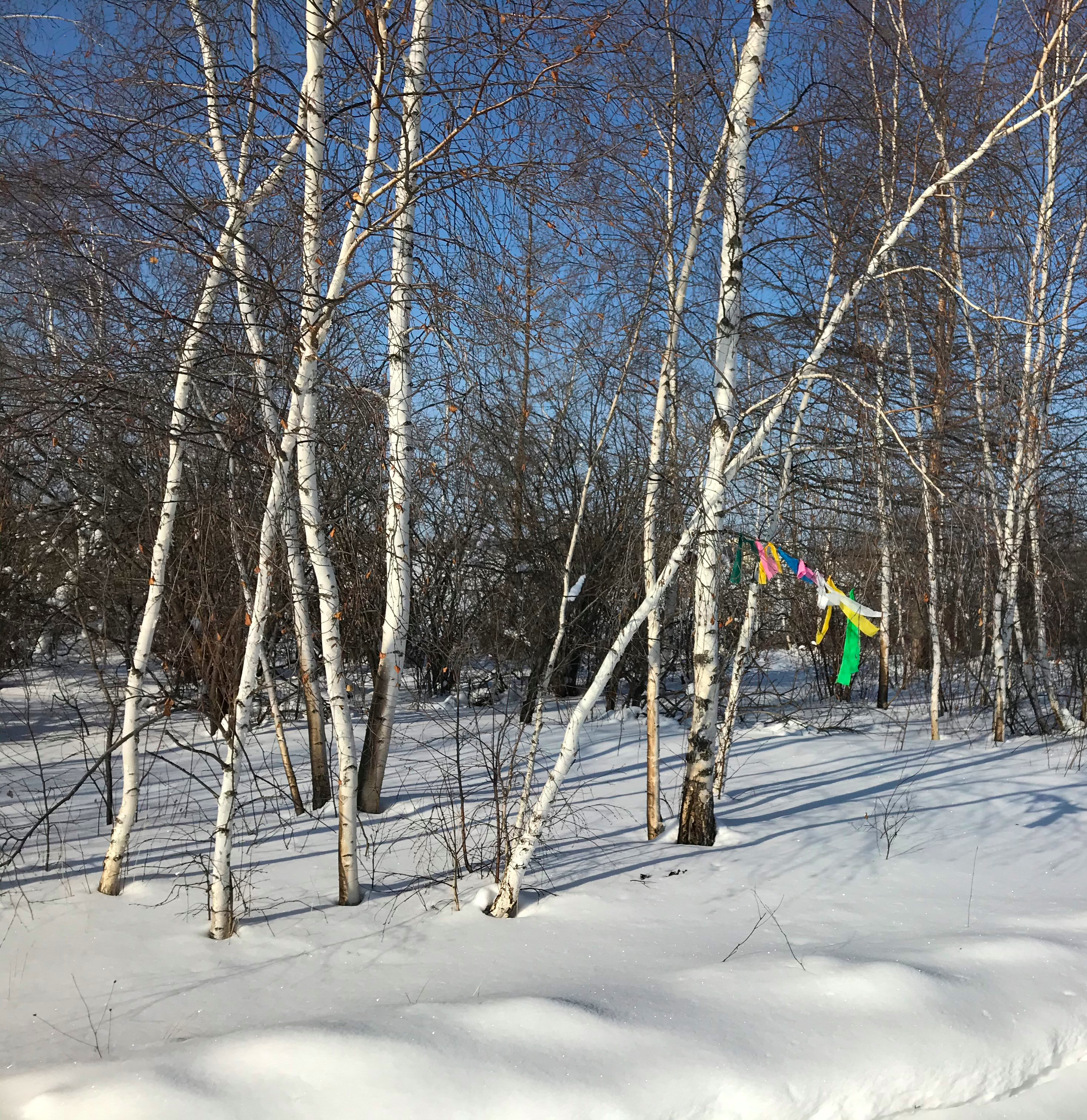 Z3SSDawMSfeSWb8q9e3fqg